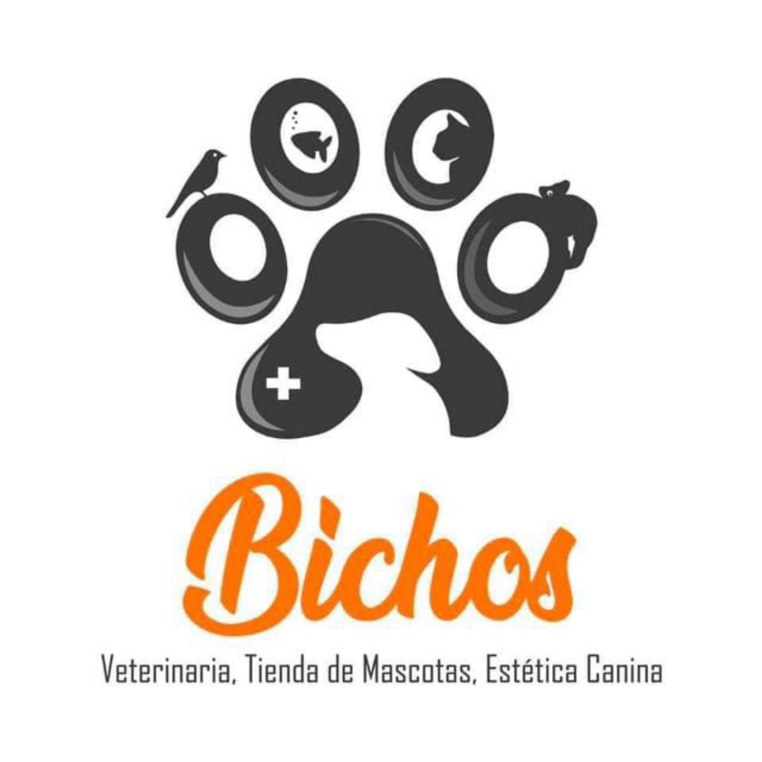 Bichos · Veterinaria, Tienda de Mascotas y Estética Canina
